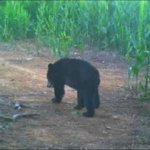 Meet your Posher, Laurie